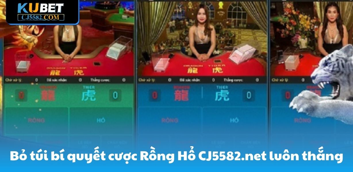 Bỏ túi bí quyết cược Rồng Hổ CJ5582.net luôn thắng
